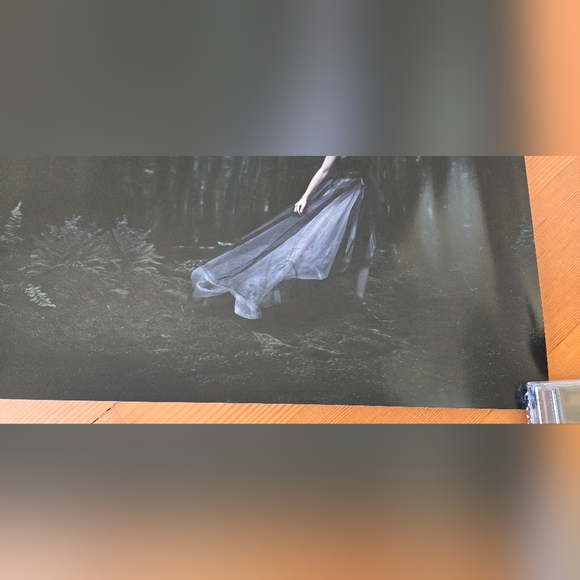 Taylor swift lithograph speak now HAUNTED 12''x21'' Never Displayed - Picture 3 of 7